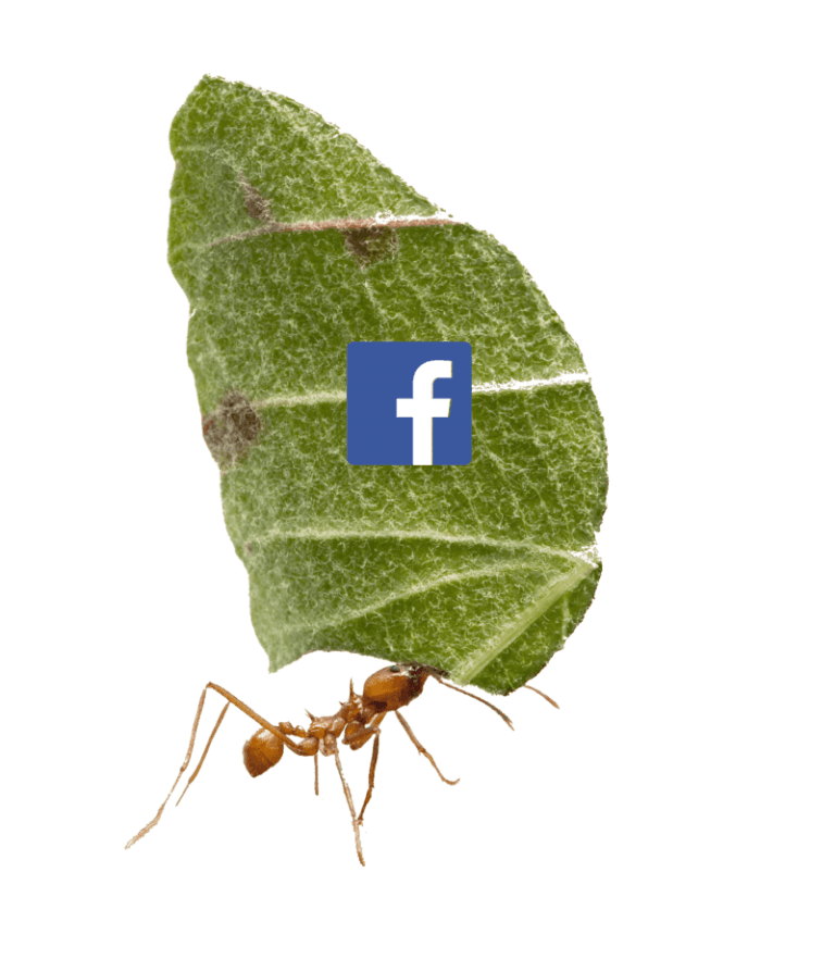 Facebook 2 it-couch-facebook