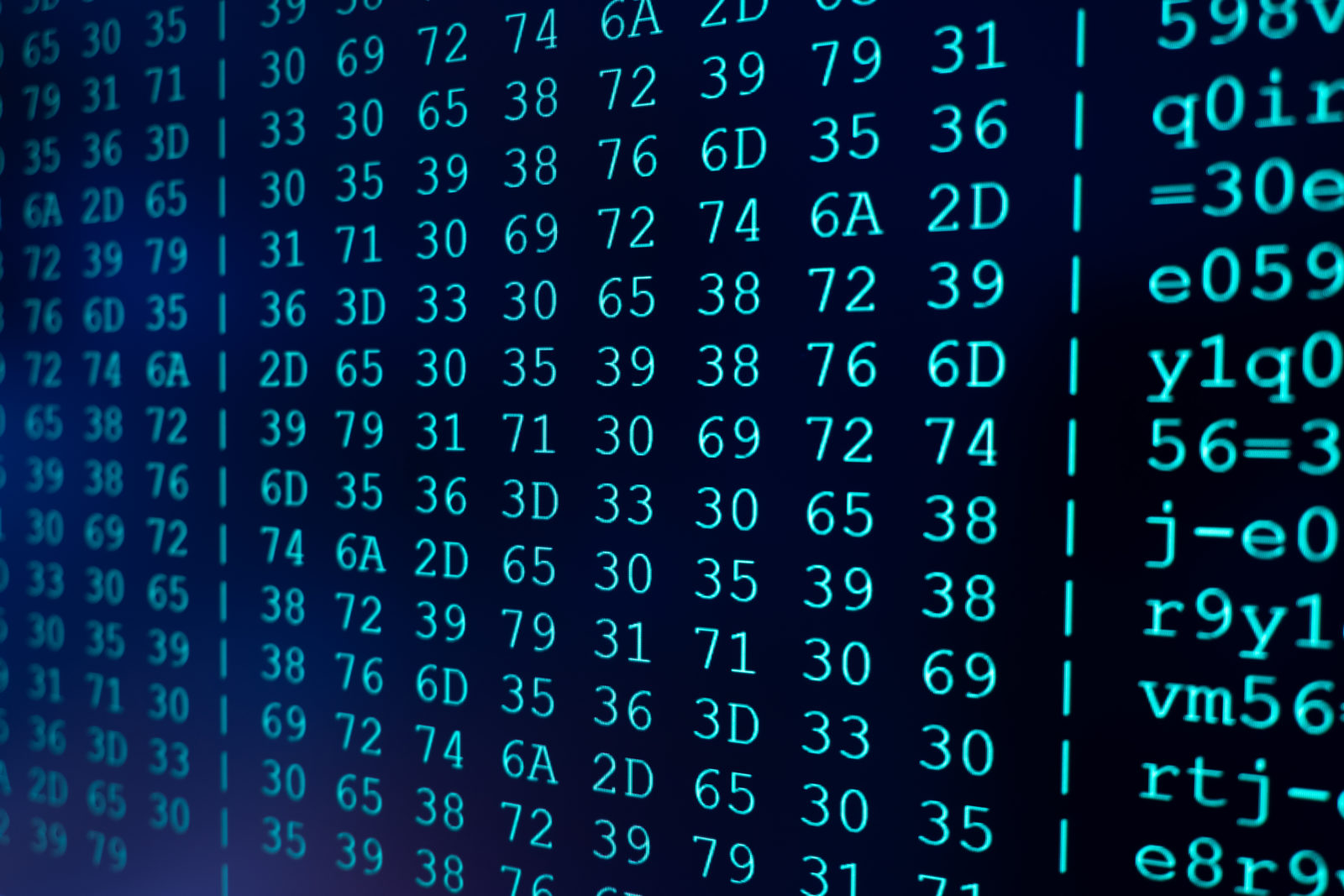 SEO Trends 2020- Der ultimative Guide für deinen Erfolg 1 Algorythmus