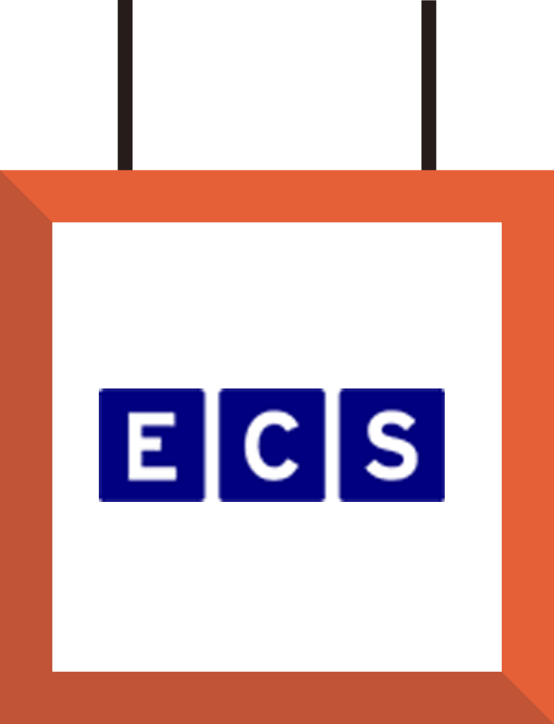 Referenzen 25 ECS Webshop